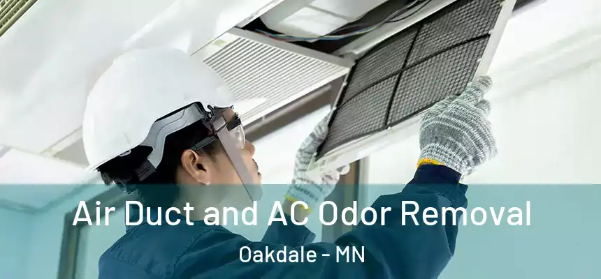 Air Duct and AC Odor Removal Oakdale - MN
