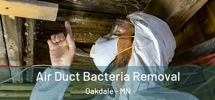 Air Duct Bacteria Removal Oakdale - MN