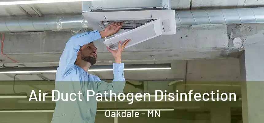  Air Duct Pathogen Disinfection Oakdale - MN
