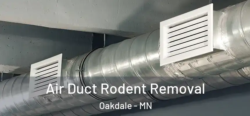Air Duct Rodent Removal Oakdale - MN