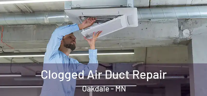  Clogged Air Duct Repair Oakdale - MN
