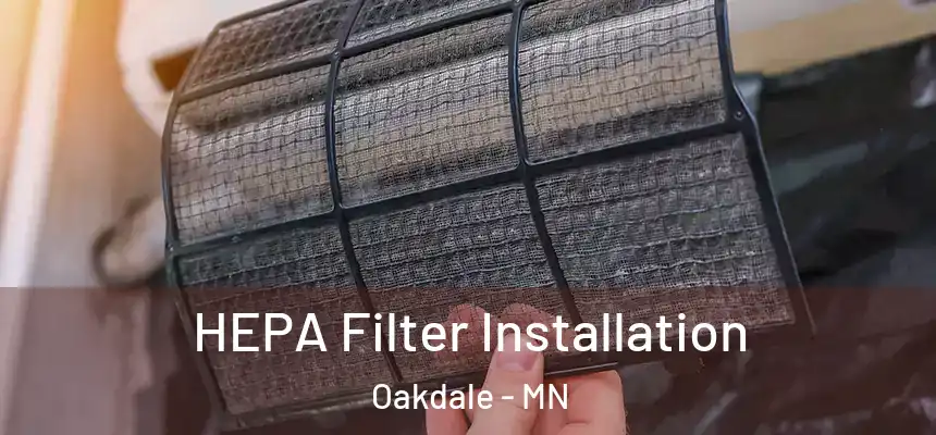  HEPA Filter Installation Oakdale - MN