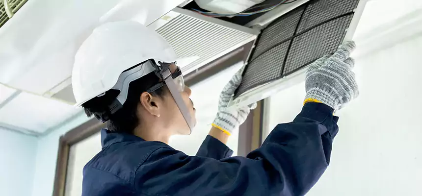 Our Mold & Mildew Removal from Air Ducts Services in Oakdale, MN