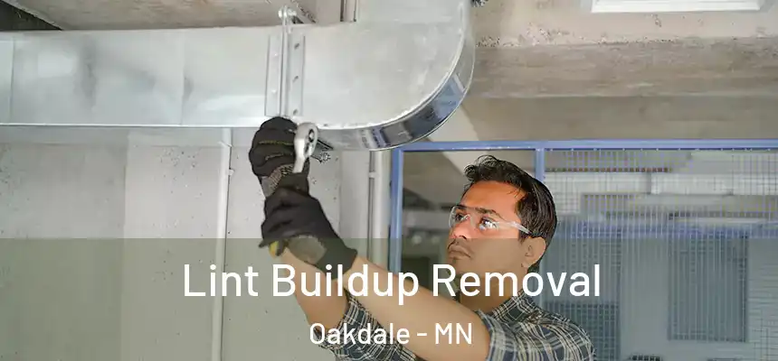 Lint Buildup Removal Oakdale - MN