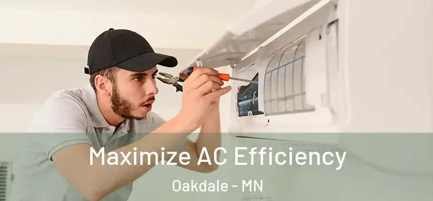 Maximize AC Efficiency Oakdale - MN