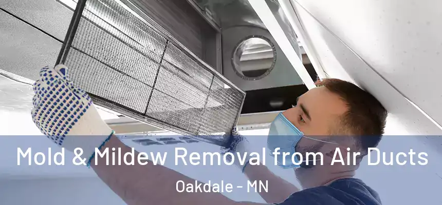  Mold & Mildew Removal from Air Ducts Oakdale - MN