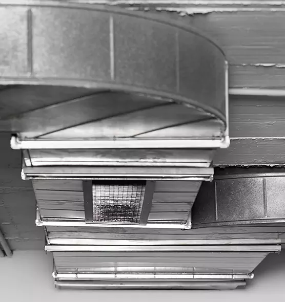 Professional Air Duct Pet Hair Removal in Oakdale, MN