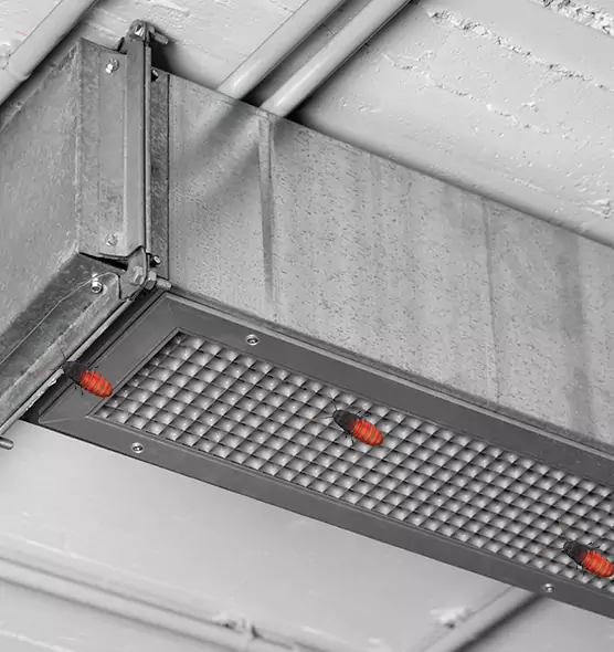 Affordable Insect Removal from Air Ducts in Oakdale, MN