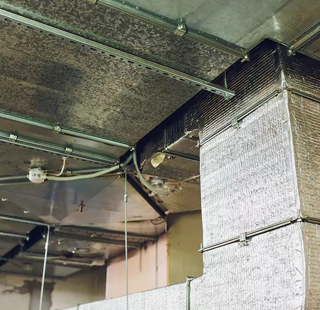 Why Homeowners & Businesses Trust Us in Oakdale, MN?